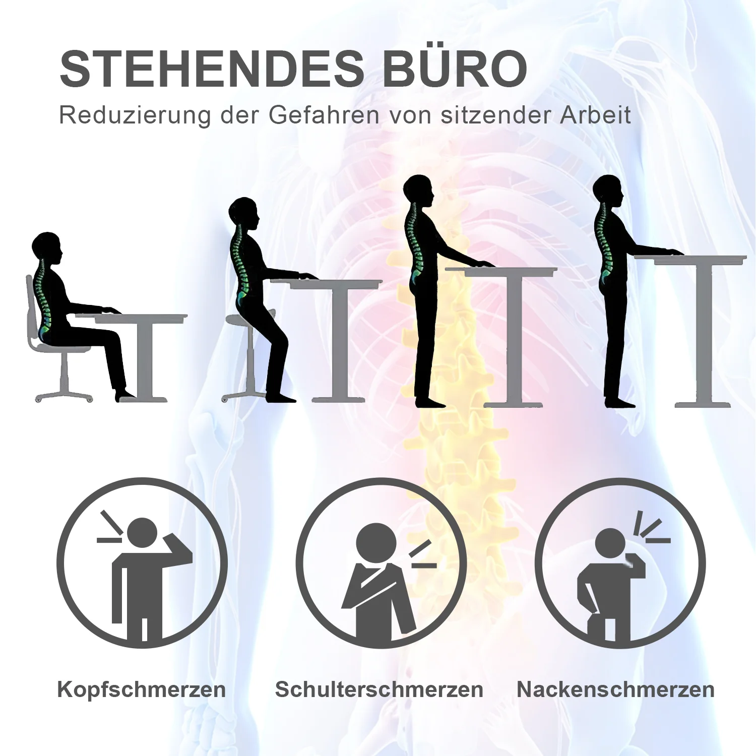 Vorschaubild 18
